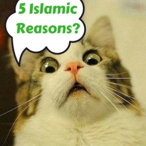 5 Islamic Reasons to get rich